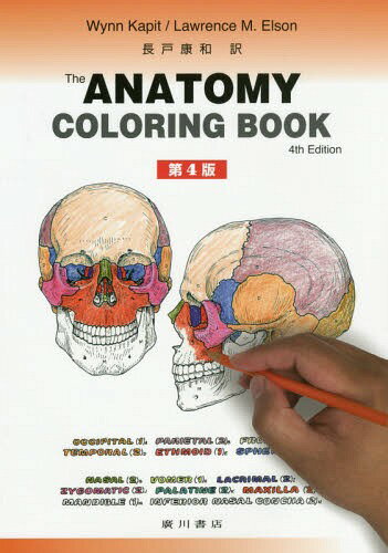 カラースケッチ解剖学 / 原タイトル:THE ANATOMY COLORING BOOK 原著第4版の翻訳 本/雑誌 / WynnKapit/〔著〕 LawrenceM.Elson/〔著〕 長戸康和/訳