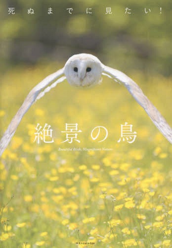 ̤ޤǤ˸!ʤĻ[/] / ʥå