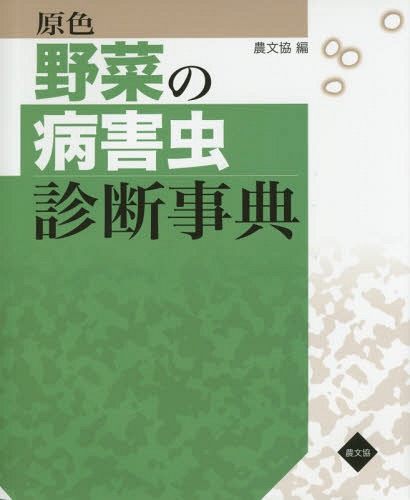 ڤ³ǻŵ[/] / ¼ʸ/