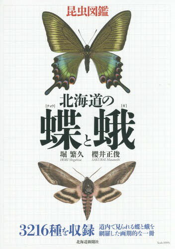 北海道の蝶と蛾 昆虫図鑑[本/雑誌] / 堀繁久/著 櫻井正俊/著
