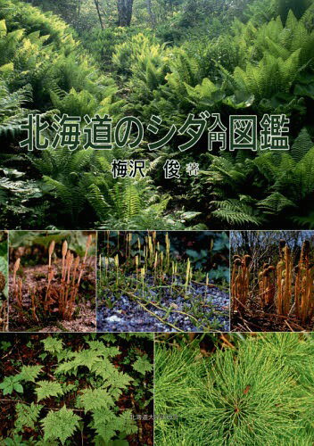 北海道のシダ入門図鑑[本/雑誌] / 梅沢俊/著