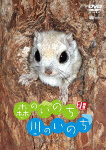 ご注文前に必ずご確認ください＜商品説明＞日本の森や川や湖に暮らす動物たちの日常を、貴重な映像と小気味良い構成で描くハートフル・エコ・ムービー。小さな仲間たちが精一杯教えてくれる生命力や大自然の魅力を「森の生命」「空の生命」「川の生命」「水辺の生命」の4パートで収録。＜商品詳細＞商品番号：SDA-83Special Interest / EIZO EHON [MORI NO INOCHI.KAWA NO INOCHI] SAVE THE FORESTメディア：DVD収録時間：61分リージョン：2カラー：カラー音声：なし Dolby Digital ステレオ、日本語 Dolby Digital ステレオ発売日：2008/05/22JAN：4945977201134映像絵本「森のいのち・川のいのち」SAVE THE FOREST[DVD] / 趣味教養2008/05/22発売