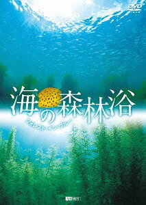 シンフォレストDVD 海の森林浴 フォレスト・イン・ブルー[DVD] / BGV