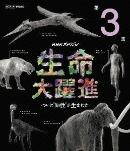 ご注文前に必ずご確認ください＜商品説明＞新垣結衣が番組ナビゲーターを務め、人間が人間となるまでの進化の大躍進に迫るドキュメンタリーの第3弾。文明を持ちうるほど高い知性を得た人類。最新のDNA研究で発見された、人間が知性を手に入れることとなった思いもよらぬ進化の鍵が語られる。＜収録内容＞NHKスペシャル 生命大躍進 第3集 ついに“知性”が生まれた＜アーティスト／キャスト＞新垣結衣(演奏者)　横山克(演奏者)＜商品詳細＞商品番号：NSBS-21007Documentary / NHK Special Seimei Dai Yakushin Vol.3メディア：Blu-ray収録時間：58分リージョン：freeカラー：カラー字幕：日本語音声：日本語 リニアPCM ステレオ発売日：2015/09/25JAN：4988066212031NHKスペシャル 生命大躍進[Blu-ray] 第3集 / ドキュメンタリー2015/09/25発売