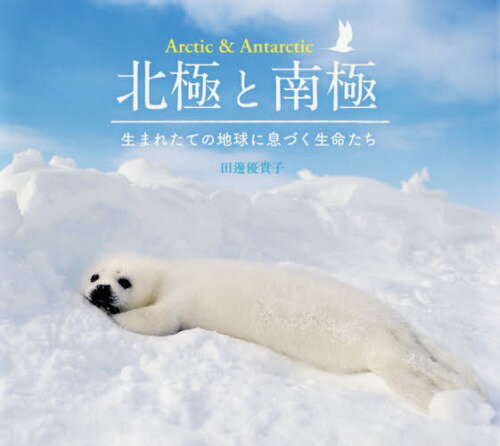 北極と南極 生まれたての地球に息づく生命たち[本/雑誌] / 田邊優貴子/著