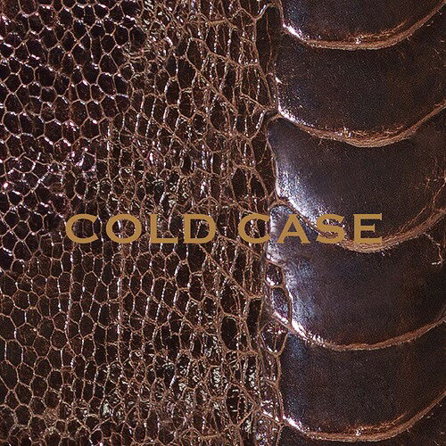 COLD CASE[CD] 【LIMITED EDITION】 [DVD付初回生産限定盤] / vistlip