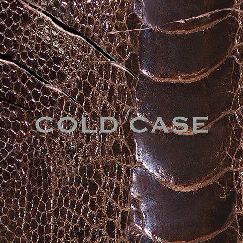 COLD CASE[CD] 【vister】 [CD+DVD] / vistlip