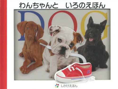 ȤΤۤ / ȥ:COLOR DOG[/] (ۤ) / ޥ塼󡦥ե꡼/ ֥饤...