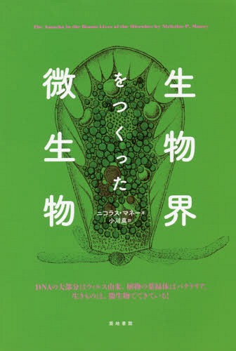 生物界をつくった微生物 / 原タイトル:The Amoeba in the Room[本/雑誌] / ニコラス・マネー/著 小川真..