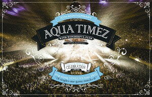 sing along SINGLES tour 2015 ～シングル18曲一本勝負プラスα～日本武道館[DVD] / Aqua Timez