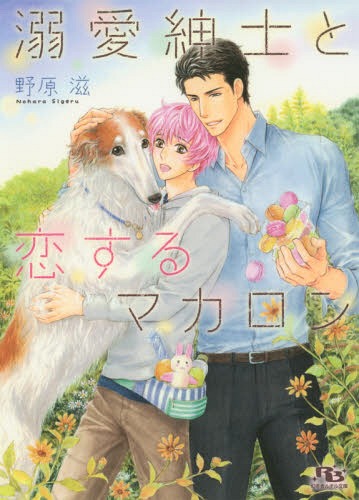 溺愛紳士と恋するマカロン[本/雑誌] (幻冬舎ルチル文庫) (文庫) / 野原滋/著