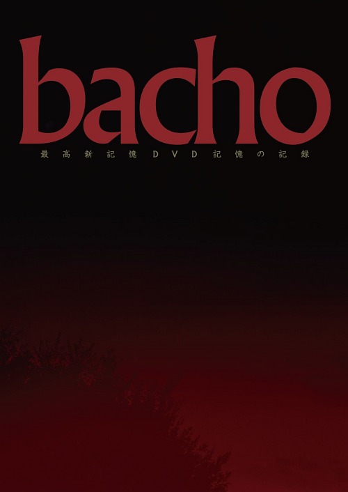 最高新記憶DVD ～記憶の記録～[DVD] / bacho