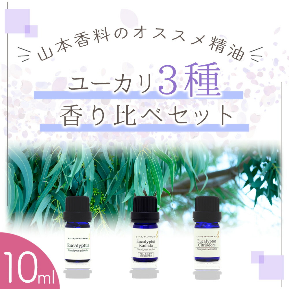 ＼楽天スーパーセール中 ★ P20倍 ★／香料会社厳選！ ユーカリ精油 香り比べ セット ユーカリグロブルス ユーカリラディアータ ユーカリシトリオドラ＜ 10ml × 3本 セット＞ エッセンシャルオイル / 精油 / アロマオイル