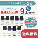 アロマテラピー検定 【 1級2級 】 使いながら学べる 香りテスト対策 精油 5ml 9種セット アロマ検定 精油セット