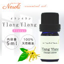 イランイラン < 5ml >| アロマ アロマオイル 精油 エッセンシャルオイル AEAJ表示基準適合認定精油