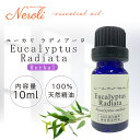3~11日は最大半額! ユーカリ ラディアータ< 10ml >| ユーカリオイル アロマ アロマオイル 精油 エッセンシャルオイル AEAJ表示基準適合認定精油