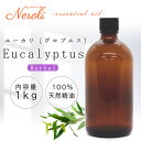 3~11日は最大半額! ユーカリ 〔 グロブルス 〕 < 1kg ( 1000g )>| ユーカリオイル アロマ アロマオイル 精油 エッセンシャルオイル AEAJ表示基準適合認定精油 大容量 業務用