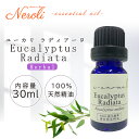 3~11日は最大半額! ユーカリ ラディアータ < 30ml >| ユーカリオイル アロマ アロマオイル 精油 エッセンシャルオイル AEAJ表示基準適合認定精油