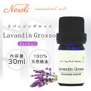 4~11日は全品5%&最大25%SALE! ラバンジン グロッソ < 30ml >| アロマ アロマオイル 精油 エッセンシャルオイル AEAJ表示基準適合認定精油