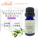 3~11日は最大半額! ユーカリ ラディアータ < 5ml >| ユーカリオイル アロマ アロマオイル 精油 エッセンシャルオイル AEAJ表示基準適合認定精油