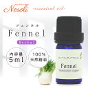 フェンネル ＜ 5ml ＞ エッセンシャルオイル / 精油 / アロマオイル