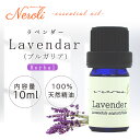 3〜11日は最大半額! 真正 ラベンダー (ブルガリア) < 10ml >| アロマ アロマオイル 精油 エッセンシャルオイル AEAJ表示基準適合認定精油(4)