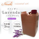 真正 ラベンダー(ブルガリア) < 3kg ( 3000g )>| アロマ アロマオイル 精油 エッセンシャルオイル AEAJ表示基準適合認定精油 大容量 業務...