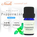 【品名】 ペパーミント 【学名】 Mentha piperita 【科名】 シソ科 【抽出部位】 全草 【抽出方法】 水蒸気蒸留法 【原産国】 タスマニア 【内容量】 30ml 【商品説明】 鼻通りが良くなるようなスーッとした清涼感と若干の辛みが感じられるミントの香りです。 鼻がぐずつく時季などはお湯を入れたマグカップに精油を1〜2滴入れてから蒸気を吸う吸入法がオススメです。 眠気をすっきりさせて集中したい時などにもピッタリの香りです。刺激が強いため妊娠中や、敏感肌の方の肌への使用は避けてください。 【主な成分】 英名 Menthol、Menthone、1,8-Cineole、Menthyl acetate、neo-Menthol、iso-Menthone、 Menthofuran、β-Caryophyllene、Limonene、Pulegone、Germacrene D、 Terpinen-4-ol、β-Pinene 和名 メントール、メントン、1,8-シネオール、酢酸メンチル、ネオメントール、イソメントン、 メントフラン、β-カリオフィレン、リモネン、プレゴン、ゲルマクレンD、 テルピネン-4-オール、β-ピネン ※成分量が多い成分から順に記載しています。※1％以下の成分は不記載。 【ブレンド情報】 清涼感のある香りなので、フレッシュな柑橘系は全体的に非常に相性が良く、クラリセージやローズマリー、ユーカリといったハーブ系だと清涼感が増してすっきりとしたブレンドに仕上がります。 ＜相性のいい精油＞ シトラス… レモン、マンダリン両種、ベルガモットハーバルアロマティック… ローズマリー、ラベンダー、クラリセージ、ユーカリグリーン… ティートリーウッディー… サイプレス、シダーウッド（テキサス）、シダーウッド（バージニア）、パインスコッチ 【販売元】 山本香料株式会社大阪府大阪市中央区北久宝寺町1-3-6TEL:06-4708-5858 検索関連ワード（本商品の説明ではありません）：山本香料 アロマオイル アロマ 精油 エッセンシャルオイル 天然 天然100% オーガニック e-aroma メディカルアロマ アロマブレンド 選べる アロマセット 精油セット エッセンシャルオイルセット アロマテラピー アロマ検定 アロマテラピー検定 プレゼント 日用品 引越し祝い リフレッシュ リラックス 癒しグッズ グッズ ギフト プチギフト アロマバス お風呂 アロママッサージ マッサージオイル おやすみアロマ 睡眠 人気 おすすめ 新生活 新生活応援 母の日 母の日ギフト お母さん 父の日 梅雨 雨 ニオイ におい ニオイ対策 におい対策 湿気