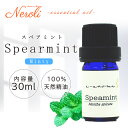 【品名】 スペアミント 【学名】 Mentha spicata 【科名】 シソ科 【抽出部位】 全草 【抽出方法】 水蒸気蒸留法 【原産国】 中国 【内容量】 30ml 【商品説明】 ペパーミントよりも刺激が少なくマイルドな爽快感です。 ほんのりとした甘さも特徴で、口臭が気になるときにスペアミントの香りがいいとされているため歯磨き粉やガムなどの香料にも採用されています。 頭がスッキリとする香りなので、勉強や仕事で集中したい時や、気分をリフレッシュさせたい時などにオススメです。 刺激が強いため妊娠中や、敏感肌の方の肌への使用は避けてください。 【主な成分】 英名 Carvone、Limonene、Dihydrocarvone、Menthol、Dihydrocarvyl acetate、Menthone和名 カルボン、リモネン、ジヒドロカルボン、メントール、ジヒドロカルビル アセタート、メントン ※成分量が多い成分から順に記載しています。※1％以下の成分は不記載。 【ブレンド情報】 ほどよい甘さがある爽快感のある香りなので、清涼感のあるローズマリーや、ハーバル感とフローラル感のあるラベンダーとは非常に相性がいいです。 爽やかさと甘さがあるレモンやグレープフルーツもオススメです。 ＜相性のいい精油＞ シトラス… レモン、グレープフルーツフローラル… ジャスミンハーバルアロマティック… ローズマリー、ラベンダー 【販売元】 山本香料株式会社大阪府大阪市中央区北久宝寺町1-3-6TEL:06-4708-5858 検索関連ワード（本商品の説明ではありません）：山本香料 アロマオイル アロマ 精油 エッセンシャルオイル 天然 天然100% オーガニック e-aroma メディカルアロマ アロマブレンド 選べる アロマセット 精油セット エッセンシャルオイルセット アロマテラピー アロマ検定 アロマテラピー検定 プレゼント 日用品 引越し祝い リフレッシュ リラックス 癒しグッズ グッズ ギフト プチギフト アロマバス お風呂 アロママッサージ マッサージオイル おやすみアロマ 睡眠 人気 おすすめ 新生活 新生活応援 母の日 母の日ギフト お母さん 父の日 梅雨 雨 ニオイ におい ニオイ対策 におい対策 湿気