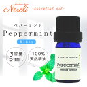 1日〜11日は母の日企画!〜 ペパーミント < 5ml >| ペパーミントオイル アロマ アロマオイル 精油 エッセンシャルオイル AEAJ表示基準適合認定精油