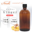 ジンジャー < 1kg(1000g) >| アロマ アロマオイル 精油 エッセンシャルオイル AEAJ表示基準適合認定精油 大容量 業務用