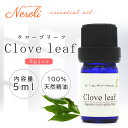 1日〜11日は母の日企画!〜 クローブリーフ < 5ml >| アロマ アロマオイル 精油 エッセンシャルオイル AEAJ表示基準適合認定精油