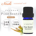 1日〜11日は母の日企画!〜 パイン スコッチ 〔 ピナス 〕 < 5ml >| アロマ アロマオイル 精油 エッセンシャルオイル AEAJ表示基準適合認定精油