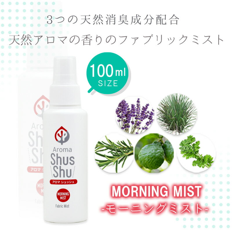 㤤ʪޥ饽P10ܡŷ ý  ե֥åߥ ץ졼 ޥåMorning mistͥ⡼˥ ߥȡʷѡ100ml