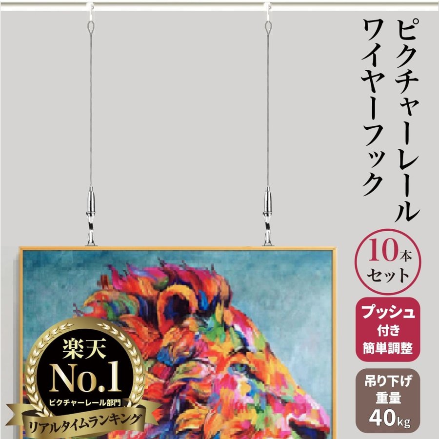 【メーカー3年保証】ピクチャー レール ワイヤー 10本セット S字固定具 フック 10個付属 耐荷重40kg 取扱説明書付き 絵画 展示 壁掛け 額 ステンレス 吊り下げ DIY雑誌ドゥーパ掲載モデル 送料無料 NESHEXST(ネセクト)