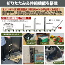 neshexst:10000188のサンプル画像3