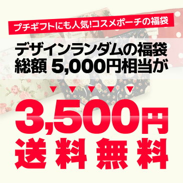 福袋 2021 レディース 雑貨 ポーチ コスメポーチ 大きめ フラワー 5点 送料無料 プチギフト 3500円ポッキリ ギフト プレゼント 送別会 送別 福袋対象 nk 母の日