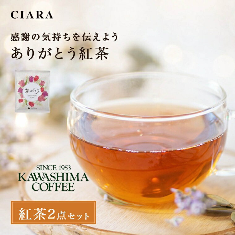 単品購入不可 【紅茶2点セット】 紅茶 バレンタイン ダージリン お茶 ティー 1000円 プレゼント おしゃれ 個包装 お試し 飲み比べ プチお返し ギフト 退職 お祝い プチギフト 500円以下 tdm 冬