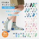 【本日10%オフクーポン付】 子ども 子供 靴下 キッズ 初節句 まとめ買い 滑り止め無し 白 女の子 男の子 電車 幼稚園 保育園 シンプル グレー ソックス...
