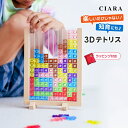 【本日2780→2480円】 3Dテトリス 知育パズル おもちゃ パズル 知育玩具 フレーム 子供 大人 3歳 4歳 5歳 小学生 カラフル テトリス 知育おも...