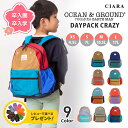 送料無料!!*当店限定カラー*Ocean＆Ground DAYPACK GOODAY[キッズ・ジュニア・ベビー]XS〜Mサイズ ナイロン リュック デイパック シンプル 子供用 男の子 女の子 入園 入学 限定色 オーシャンアンドグラウンド 1215101 1915101 8525101 楽天ランキング第1位 あす楽