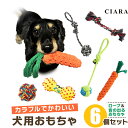 【本日10%オフクーポン付】 犬 おもちゃ ボール 壊れない セット ロープ 紐 頑丈 小型犬 中型犬 大型犬 噛んでも壊れない ペット ロープトイ 噛むおもち...