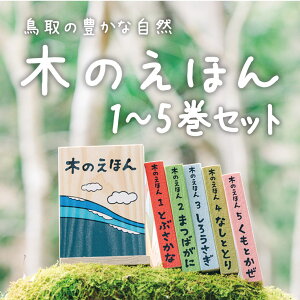 木のえほん1~5巻セット（専用木箱付き） [ 白岡彪 ] こどもの日 子どもの日 ギフト プレゼント 1歳 2歳 3歳 4歳 5歳 孫 ひ孫 キッズデザインアワード2023受賞