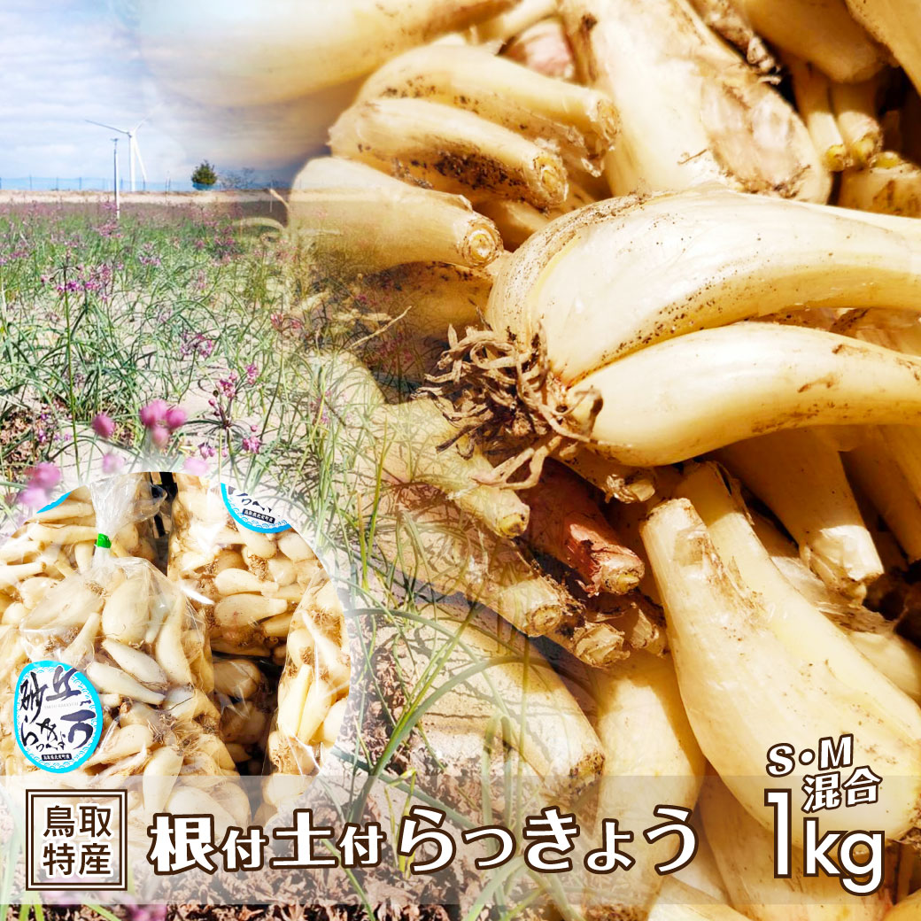 商品画像1