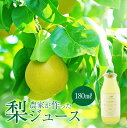 ジュース 梨農家が作った梨ジュース 梨ジュース 果汁100% 180ml なし 鳥取県産 ギフト プレゼント