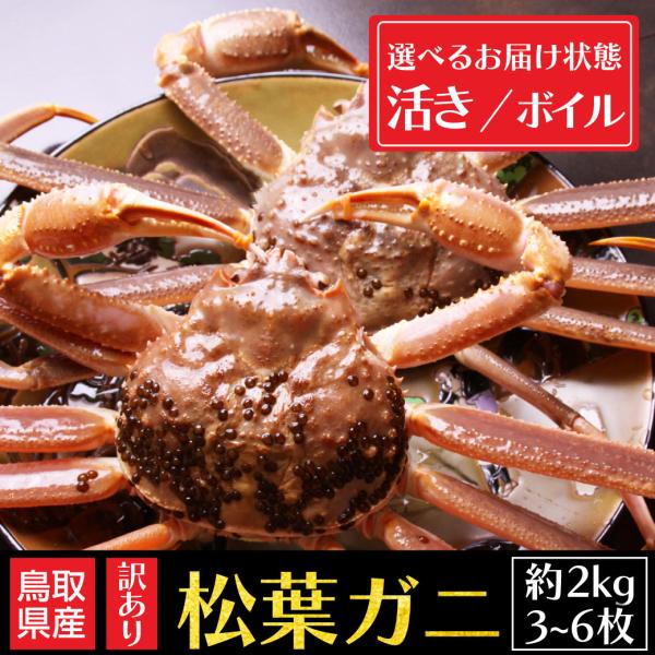 松葉ガニ 選べる 活き ボイル 訳あり 2kg 3~6枚 姿 ズワイガニ かに カニ 松葉蟹 生きたまま 松葉がに 活 産地直送 鳥取 送料無料(北海道・沖縄を...