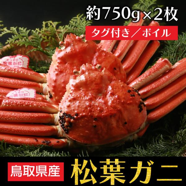 松葉ガニ ボイル 約750g 2枚 ズワイガニ タグ付き かに カニ 松葉蟹 松葉がに 産地直送 鳥取 国産 送料..