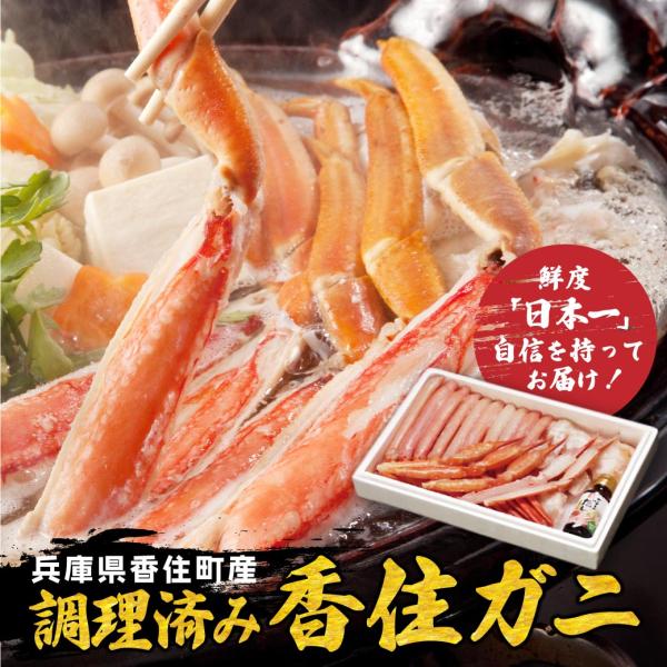 紅ズワイガニ 調理済 香住ガニ 香住産 1尾 ギフト プレゼント かに カニ かにすき 出汁 産地直送 兵庫 国産 冷凍 送料無料（北海道・沖縄を除く）(4)