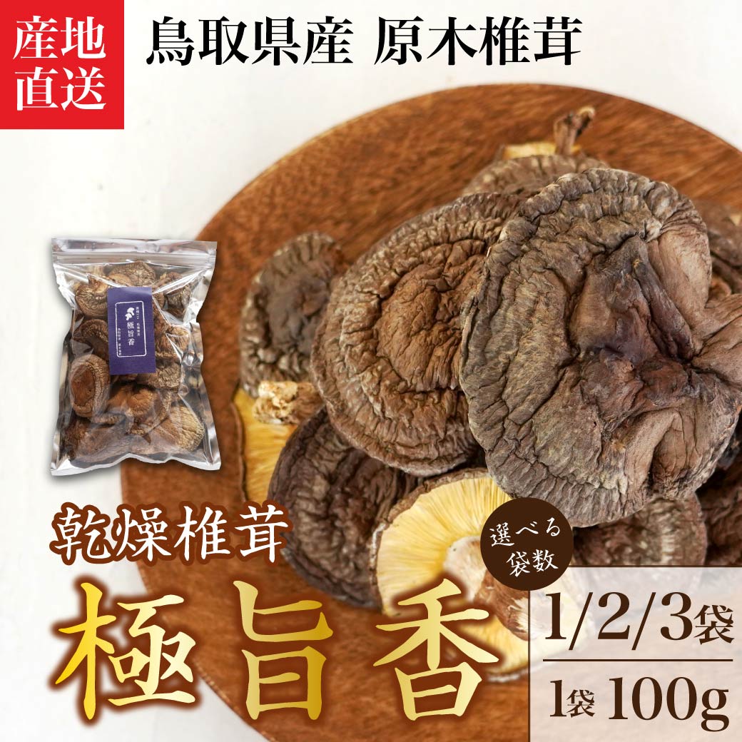 乾燥椎茸 1袋 100g とっとり 原木栽培 鳥取 乾燥しいたけ 国産 高級 しいたけ 乾物 出汁 だし 煮物 送料無料（北海道・沖縄を除く）