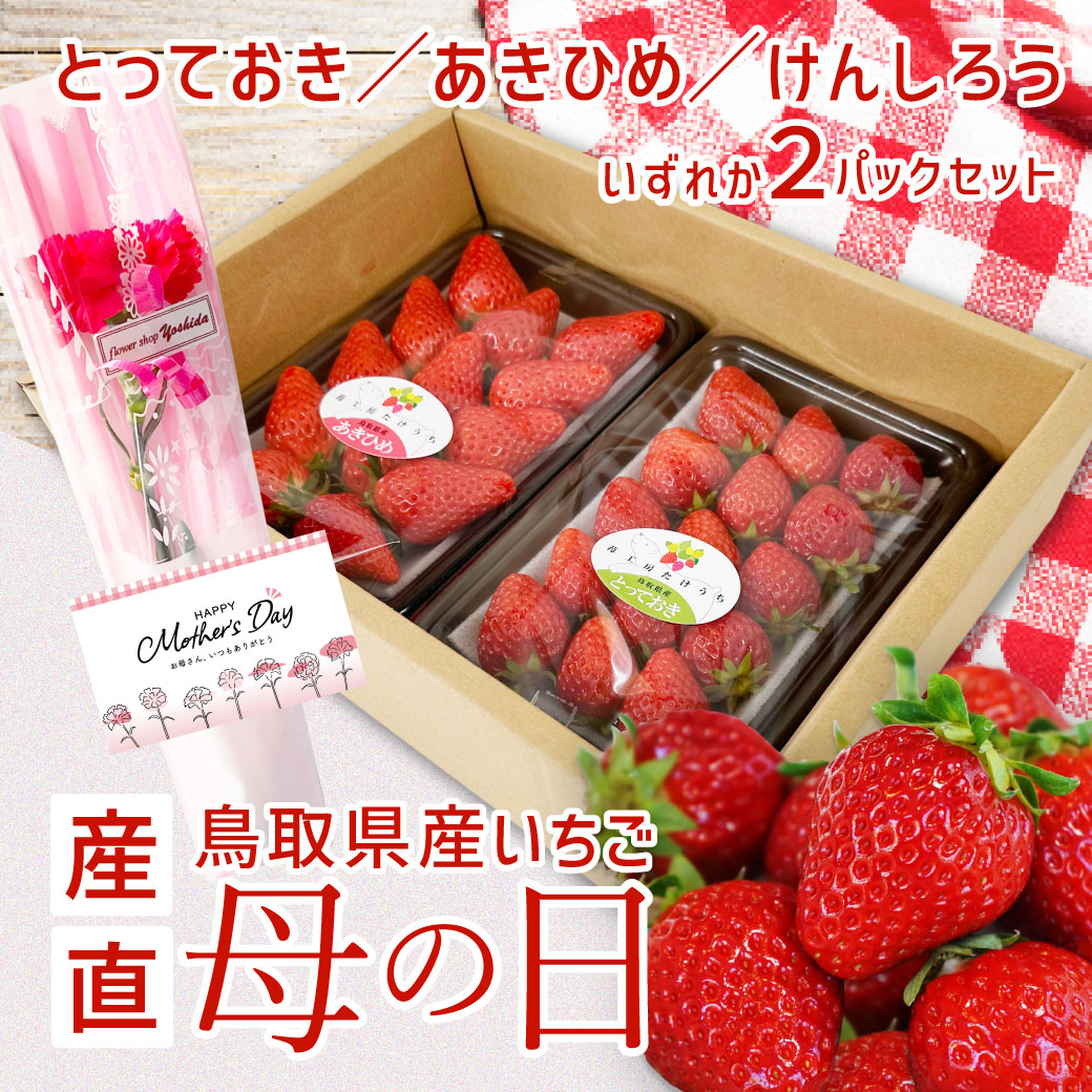 早割 母の日 2026 プレゼント ギフト いちご イチゴ カーネーション とっておき あきひめ け ...